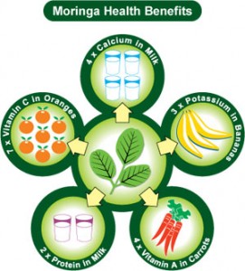 moringa-health-benefits.jpg